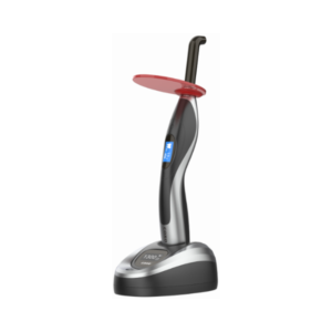 DB686 Honor - COXO 2