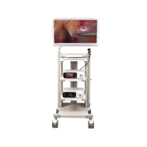 DJSXJ-IId Full HD Endoscope Camera System - Medical Dajing 1