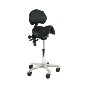 Amazone with Lumbar Support Doctor Stool - Score 1