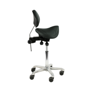 Amazone with Lumbar Support Doctor Stool - Score 2